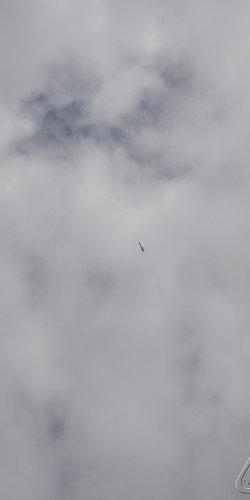 2013 Svojek Mirek Topinka